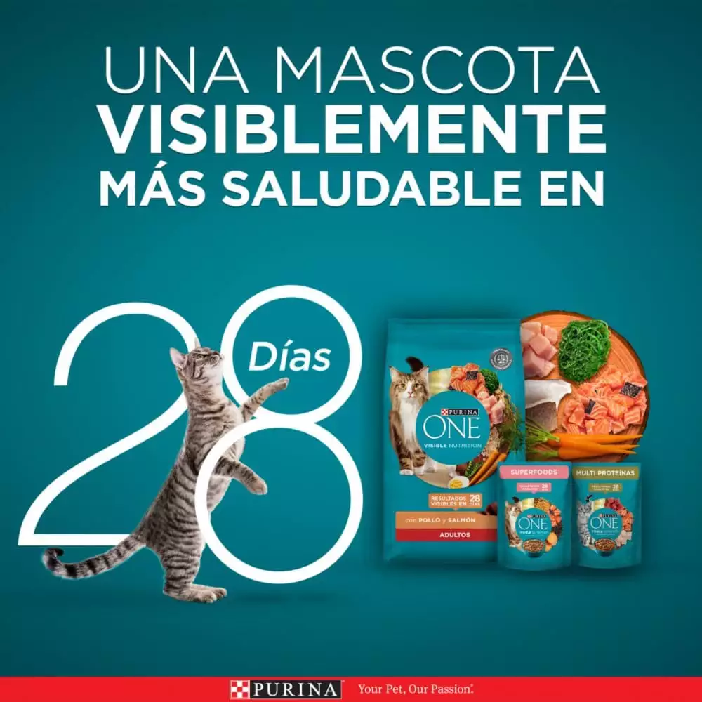 Alimento Humedo Gato Purina One 85 Gr Adultos Salmon Atun Pescado