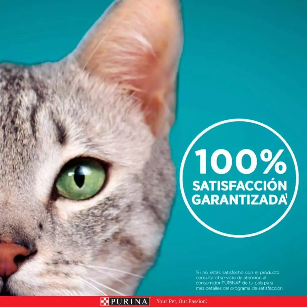 Alimento Humedo Gato Purina One 85 Gr Adultos Salmon Atun Pescado