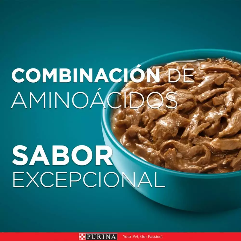 Alimento Humedo Gato Purina One 85 Gr Adultos Salmon Atun Pescado