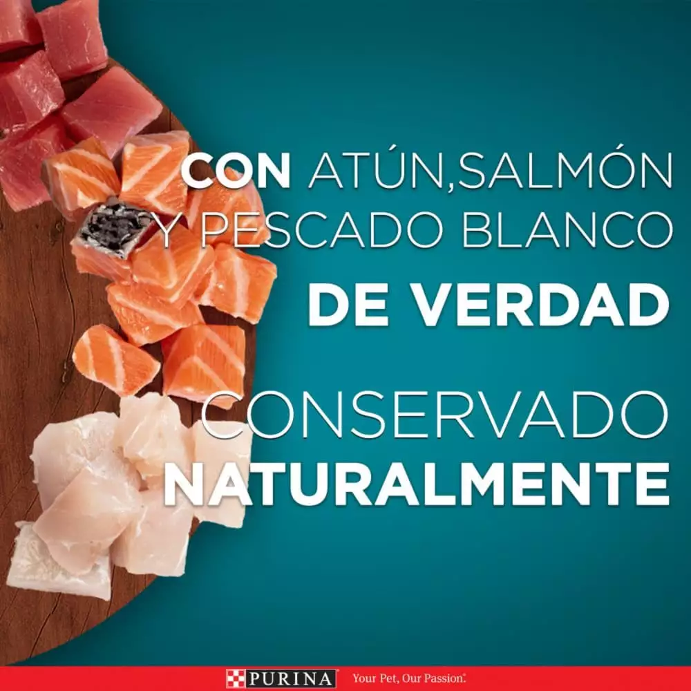 Alimento Humedo Gato Purina One 85 Gr Adultos Salmon Atun Pescado