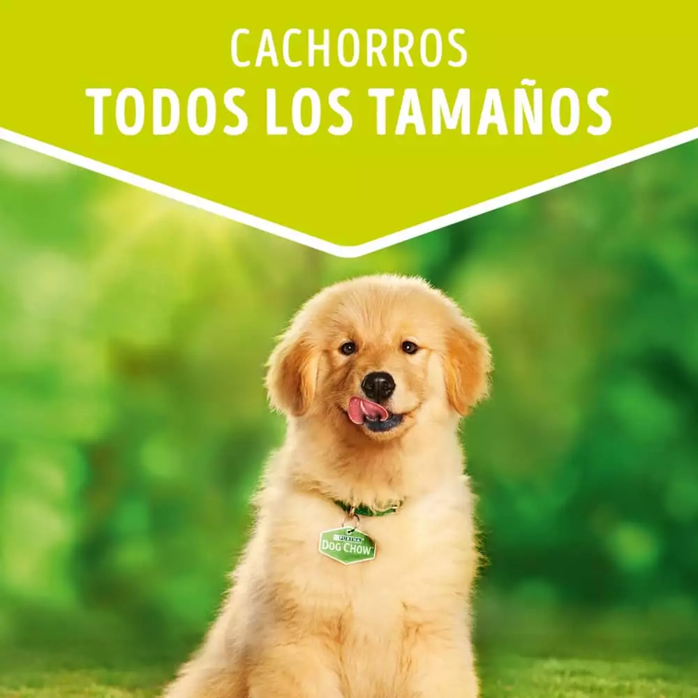 Alimento Humedo Perro Dog Chow 100 Gr Cachorro Pollo 12478991