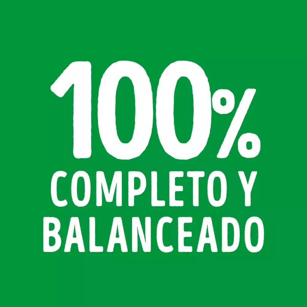 Alimento Humedo Perro Dog Chow 100 Gr Cachorro Pollo 12478991