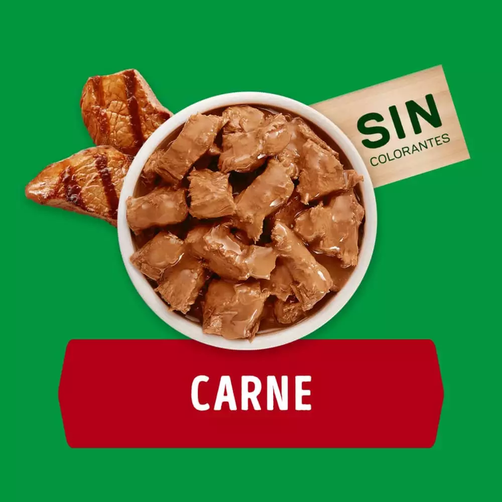 Alimento Humedo Perro Dog Chow 100 Gr Carne Adultos 12478296