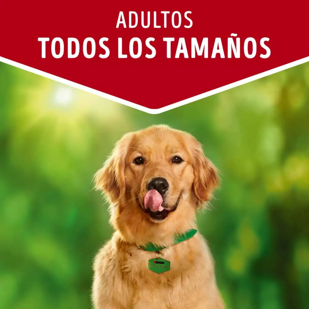 Alimento Humedo Perro Dog Chow 100 Gr Carne Adultos 12478296