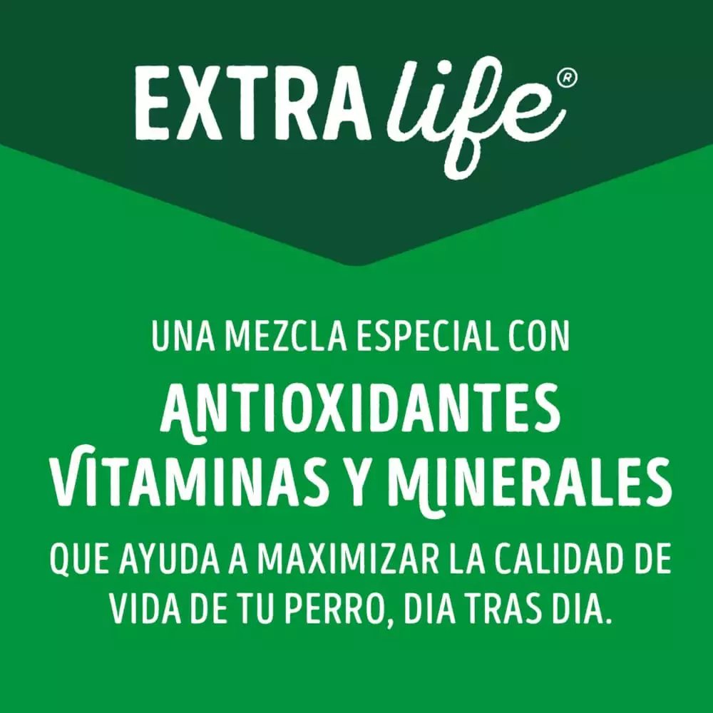 Alimento Humedo Perro Dog Chow 100 Gr Carne Adultos 12478296