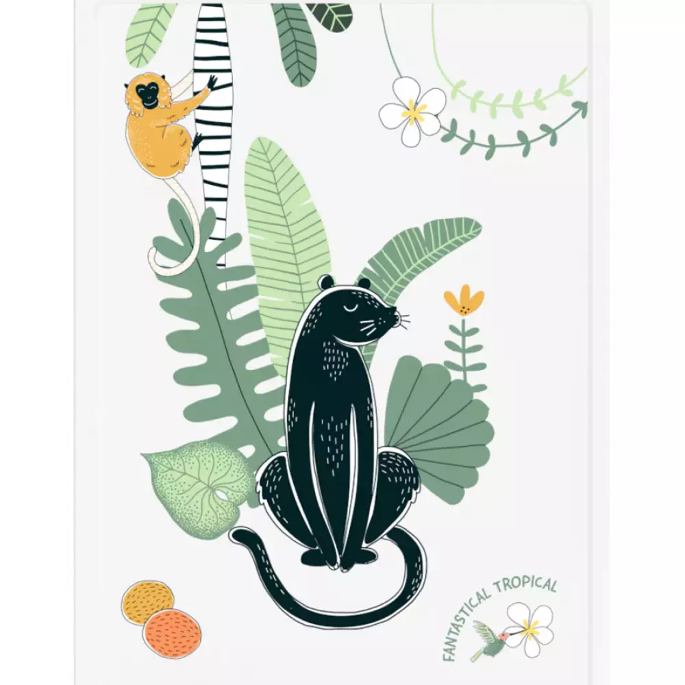 Caja Organizadora 16X55X39 Cm Style Stor