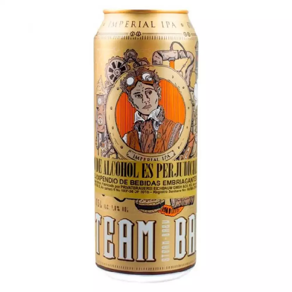 Cerveza steam brew x 500ml ipa lata