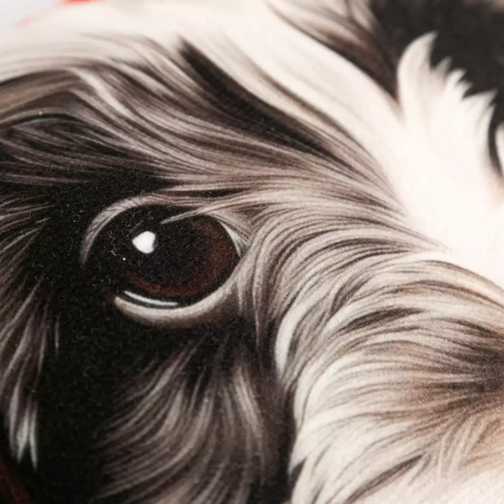 Cojin Expressions Oreo 45X45Cm Poliester