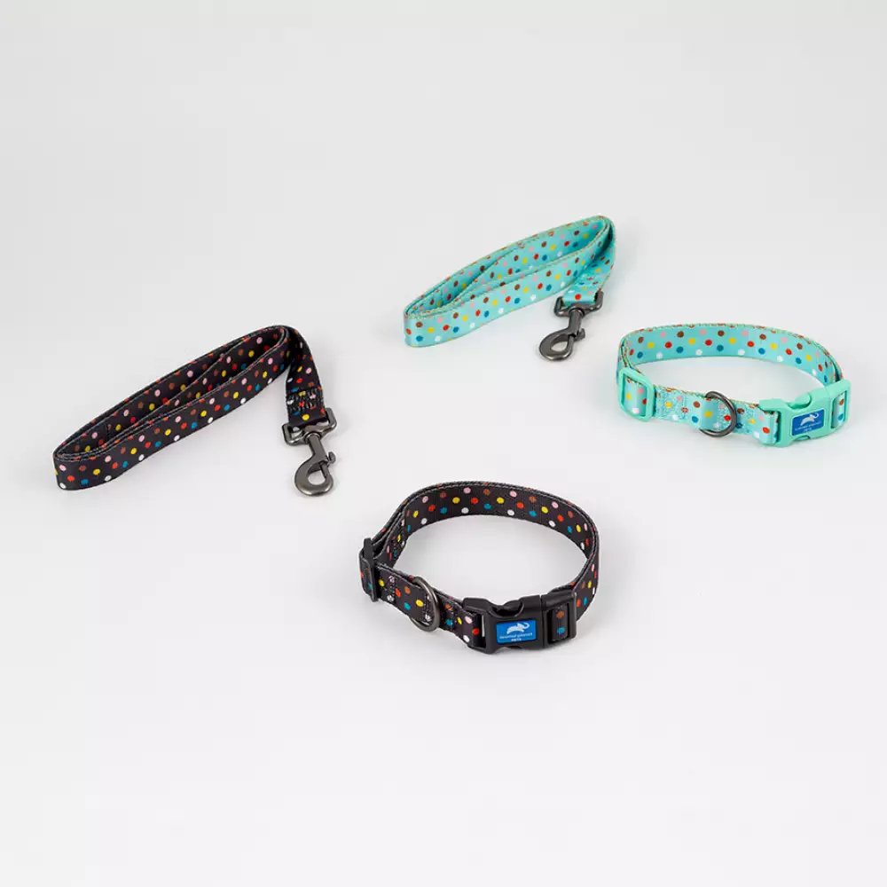 Collar + Correa Animal Planet Surtido Xl 1X20-24 -23