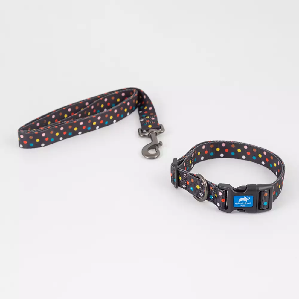 Collar + Correa Animal Planet Surtido Xl 1X20-24 -23