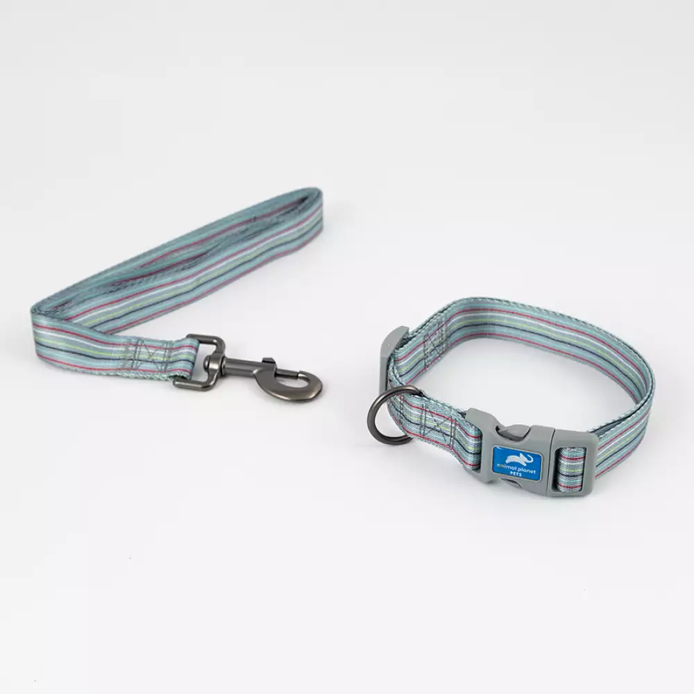 Collar + Correa Animal Planet Surtido Xl 1X20-24 -59