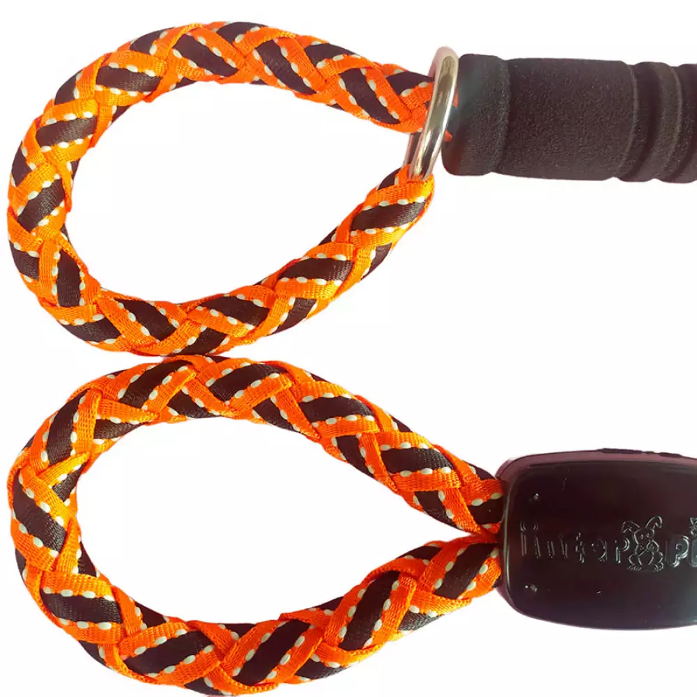 Correa Perro Interpet Pc0066 16Mmx120 Cm Cordon Ahogo Surtida