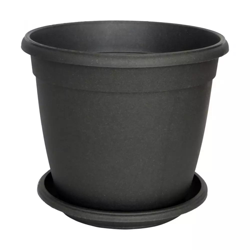 Eco Matera Genova 18 Con Plato 15  03431478