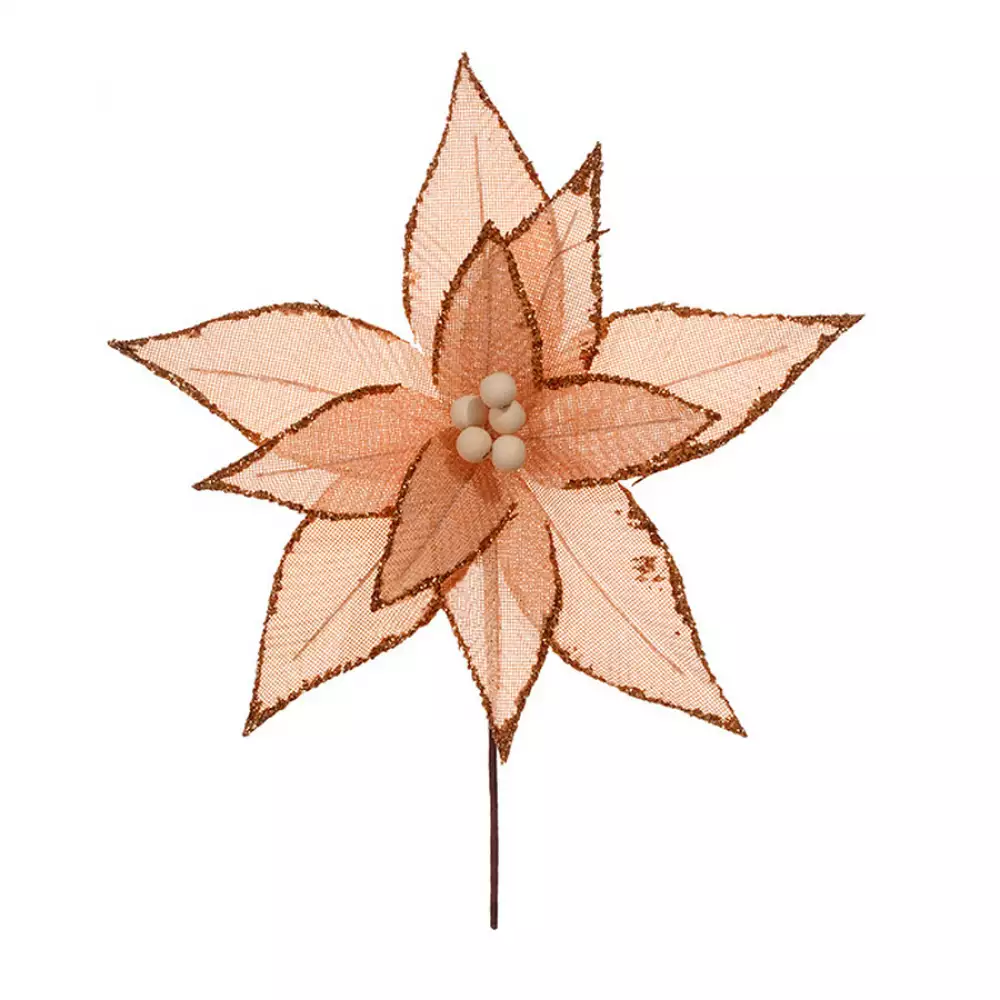 Flor Miro Christmas   1X30Cm Champagne