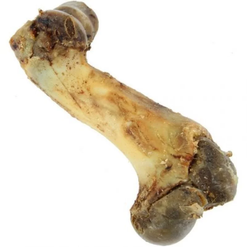 Hueso Our Pets Beige