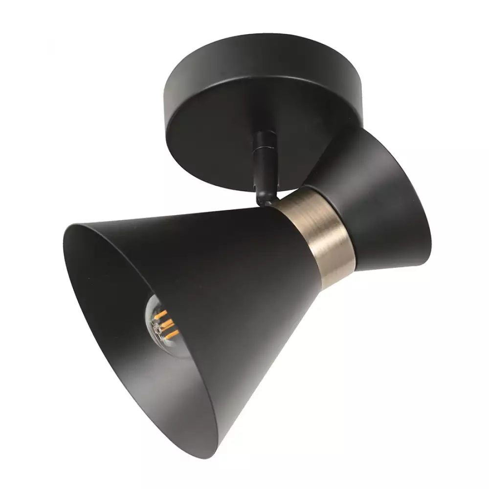 Lámpara Techo Reflectora Negro 1L E27 40W 1