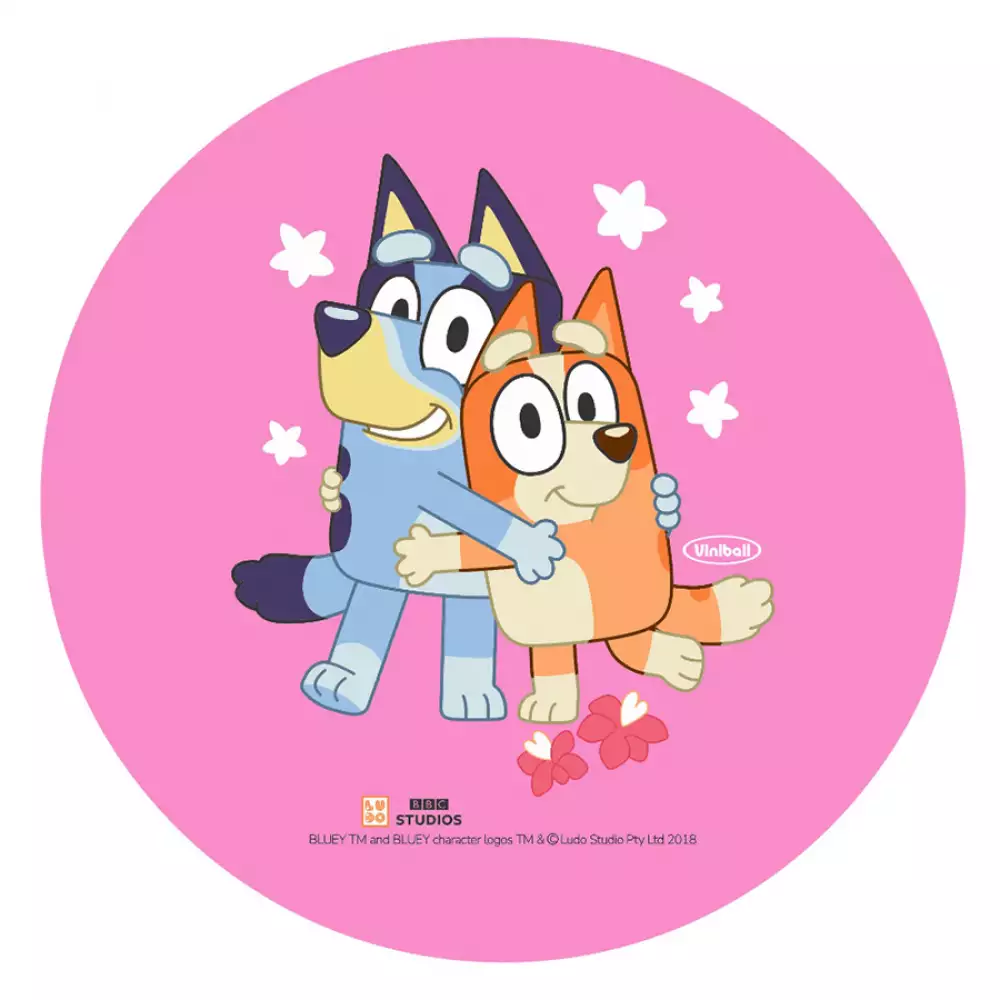 Pelota Viniball N5 Bluey Surtido