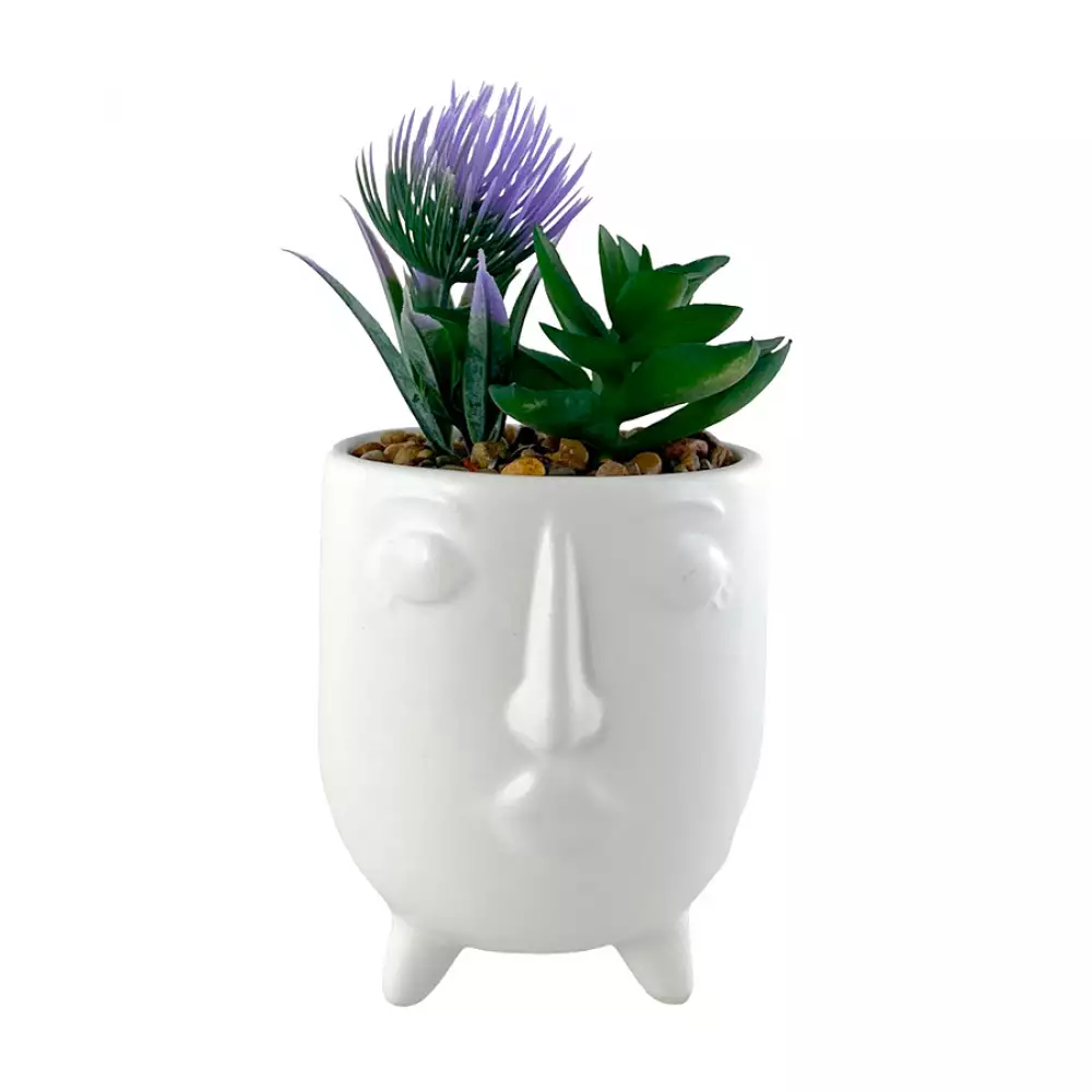 Planta Art Face Concepts Sweet Mocca 8X15X8Cm Blanco Ceramica