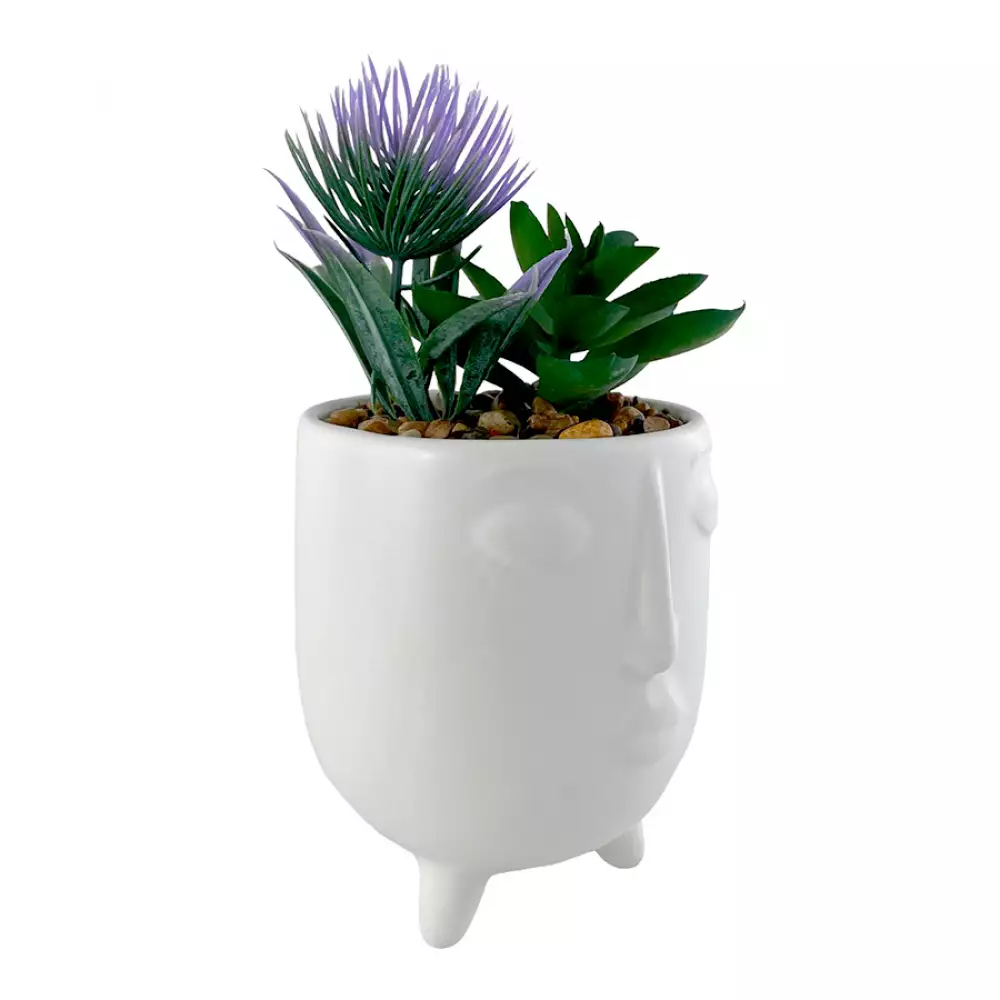 Planta Art Face Concepts Sweet Mocca 8X15X8Cm Blanco Ceramica
