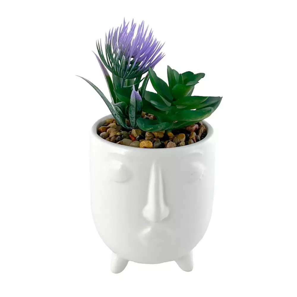 Planta Art Face Concepts Sweet Mocca 8X15X8Cm Blanco Ceramica