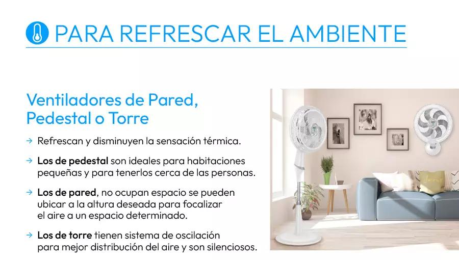 Curiosidades mascotas