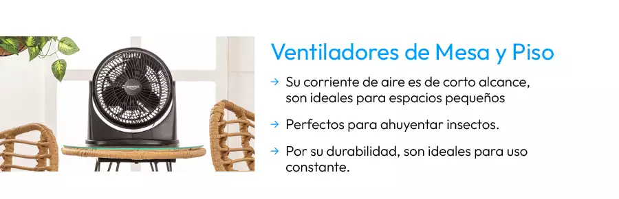 Curiosidades mascotas