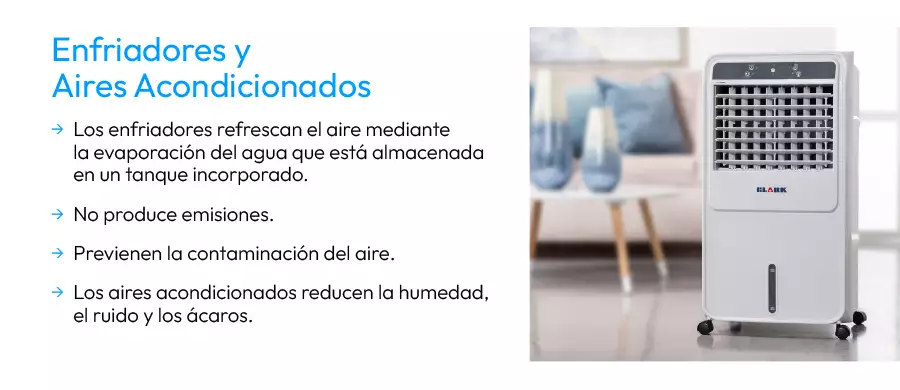 Curiosidades mascotas