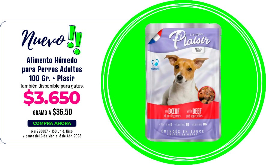 alimento húmedo para perros adultos