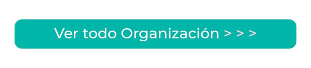 organización
