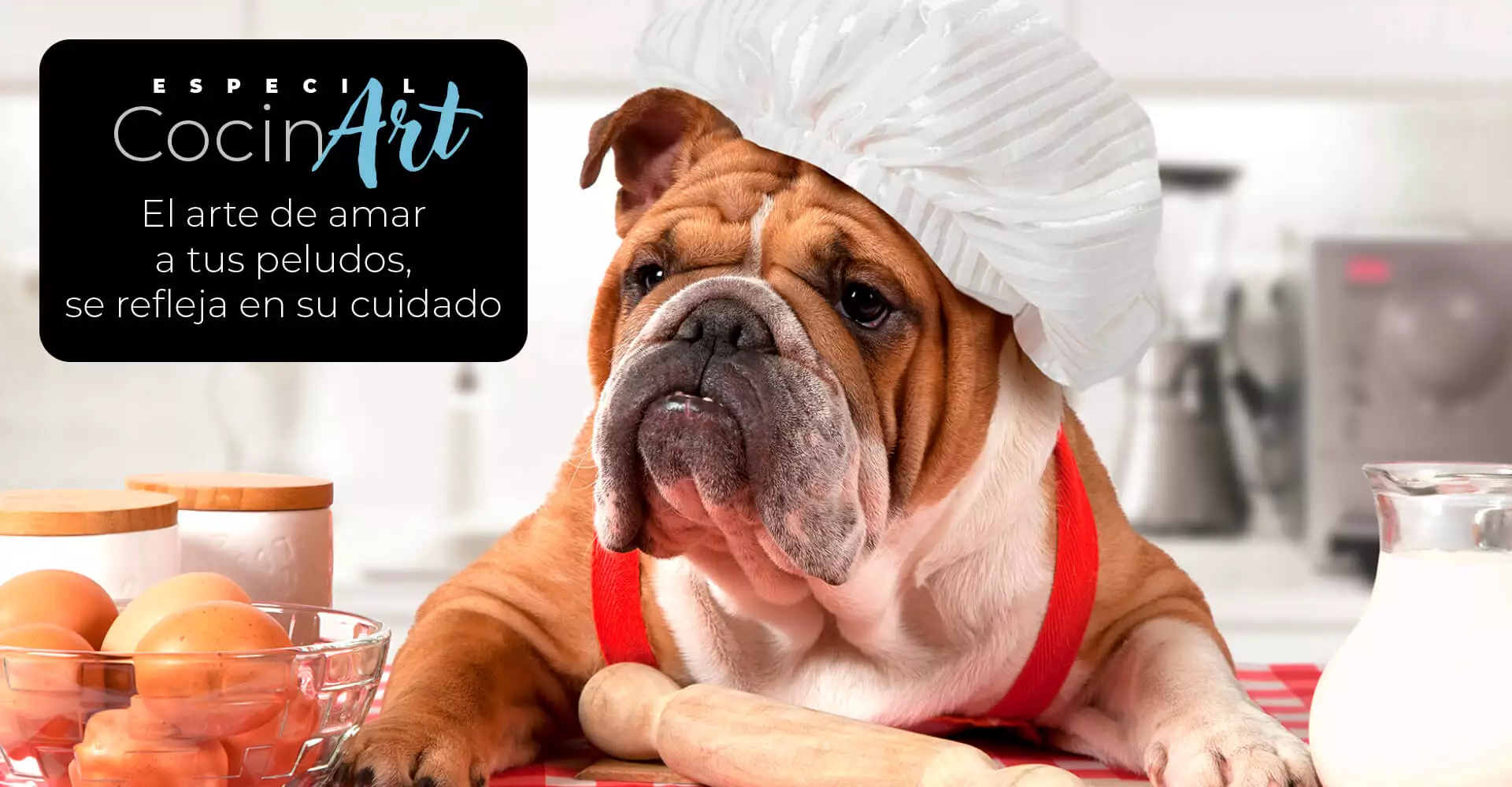 el arte de amar a tus peludos