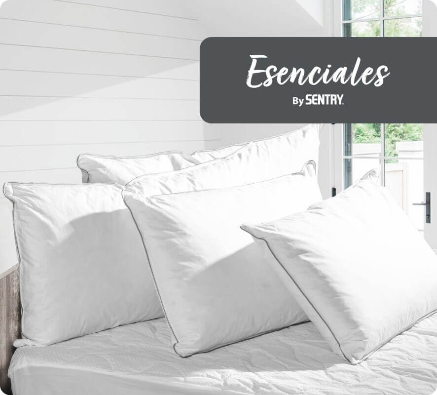 Esenciales Homesentry