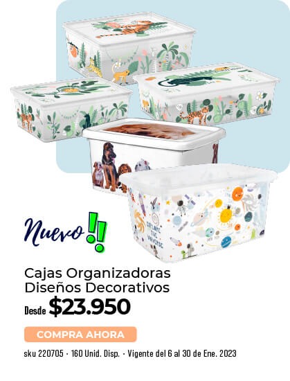 Caja organizadoras