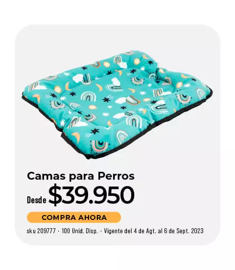 cama para perros