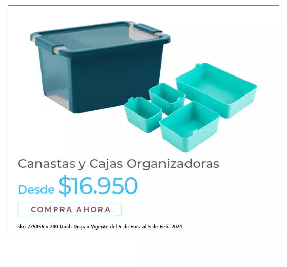 canastas y cajas organizadoras
