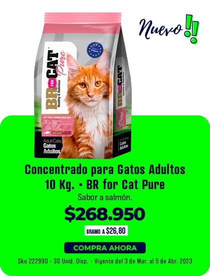 concentrado para gato adulto