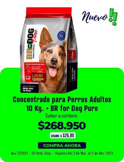 concentrado para perros adultos