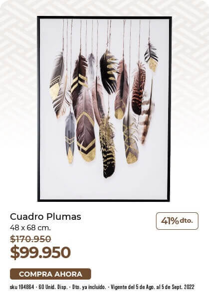 41% de descuento Cuadro plumas
