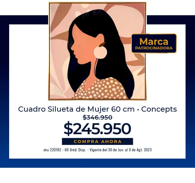 cuadro silueta de mujer