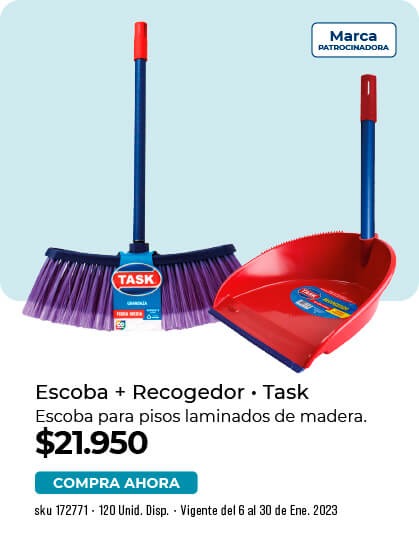 escoba + recogedor