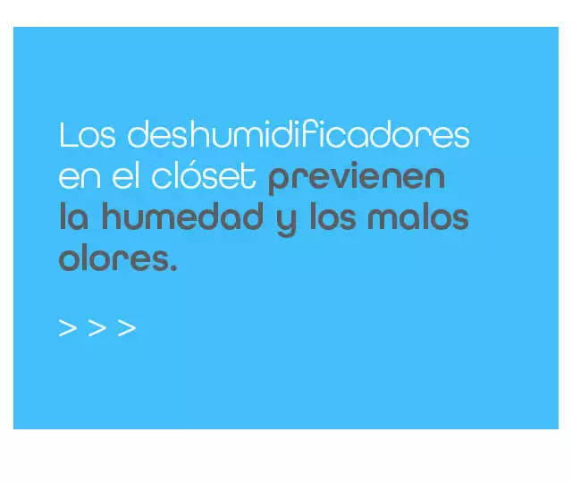 deshumificadoes en el clóset
