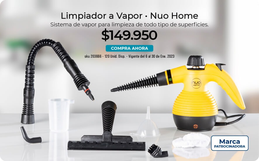 Limpiador a vapor