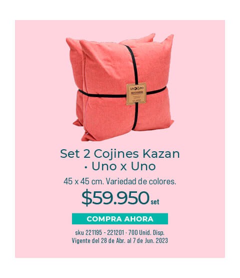set 2 cojines kanzan